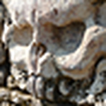 Profile Picture of Warren Pys (@warren pys) on Flickr