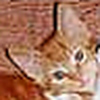 Profile Picture of Angela Fish (@fishy121) on Flickr