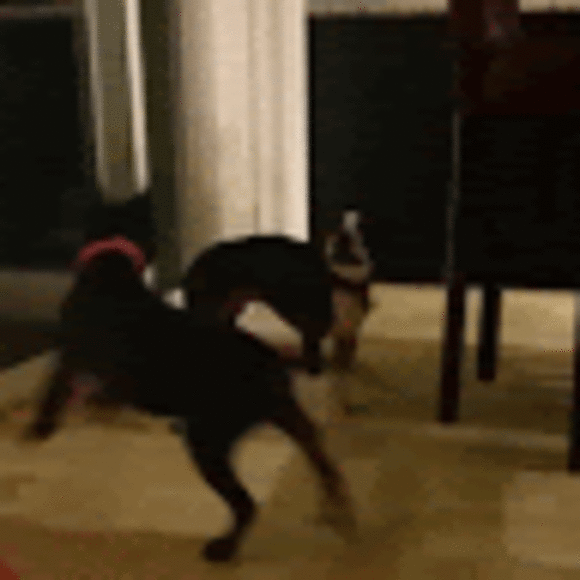 Profile Picture of Samantha Speelman (@samspeelman79) on Poshmark