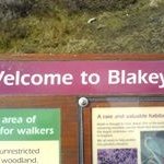 Profile Picture of Lee Blakey (@lee.blakey) on Instagram