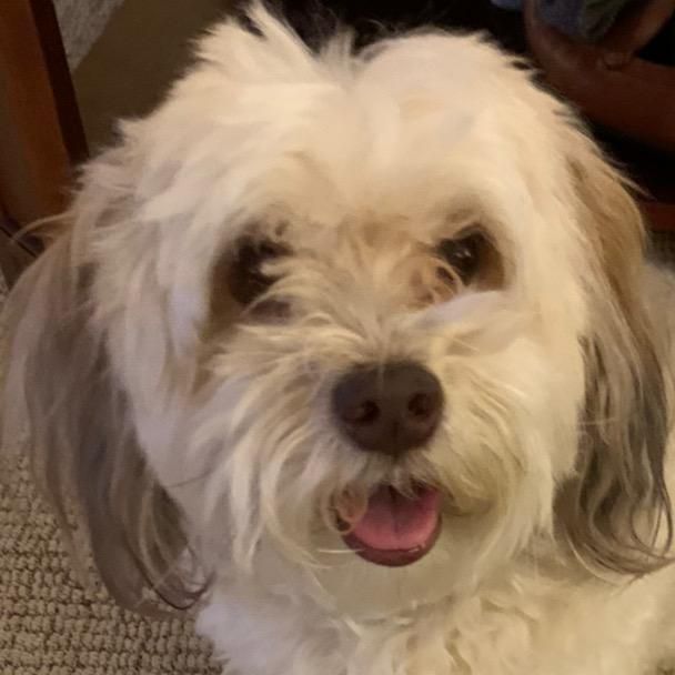 Profile Picture of Robyn_Bold (@robyn_bold) on Tiktok