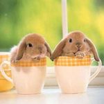 Profile Picture of Michael Mitschke (@michaelmitschke) on Instagram