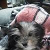 Profile Picture of dannybledsoe41 (@@dannybledsoe41) on Tiktok