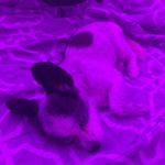 Profile Picture of dylan king (@notdylanking) on Instagram