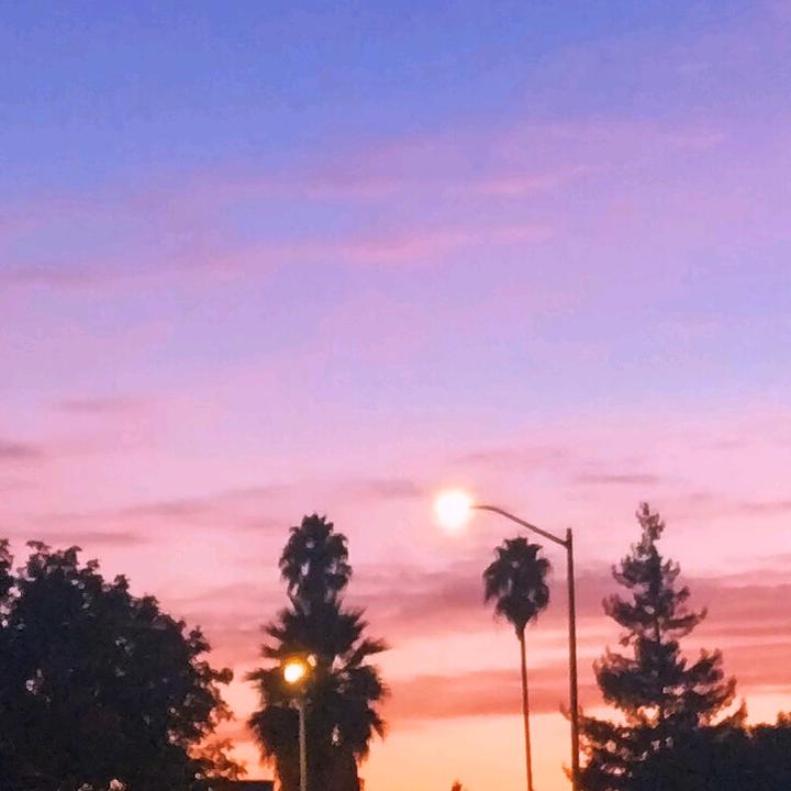 Profile Picture of 🍒Nora🍒 (@_nora.lin_) on Tiktok