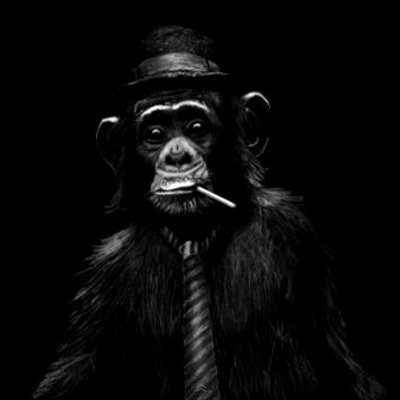 Profile Picture of Isaac Tucker (@mrtuxmobile) on Twitter