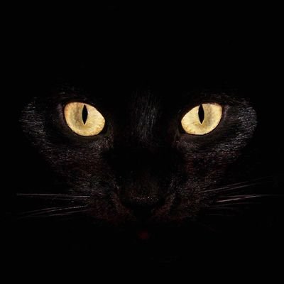 Profile Picture of Rupert James Lozada (@rjames_lozada) on Twitter