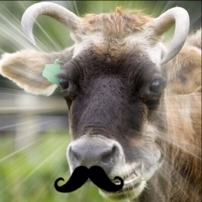 Profile Picture of Wayne Liao (@v8_Wayne) on Twitter