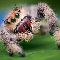 Profile Picture of Sam Prada Hellberg (@sam-prada-hellberg) on Quora