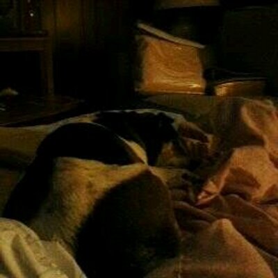 Profile Picture of Darrell (@PoeLiLRichBoy) on Twitter