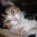 Profile Picture of Paula Ziegler (@paulaz1925) on Pinterest