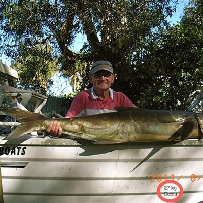 Profile Picture of Gordon Meredith (@woolgoolgafish) on Twitter