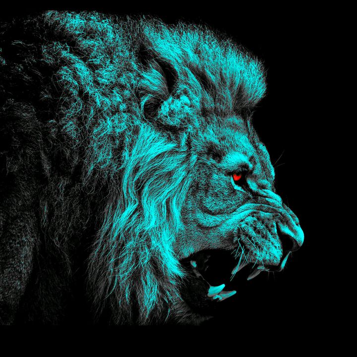 Profile Picture of Luis Minchala (@luisminchala14) on Tiktok