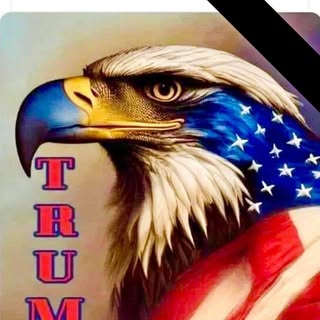 Profile Picture of Danny Peet (@dannypeet1) on Instagram