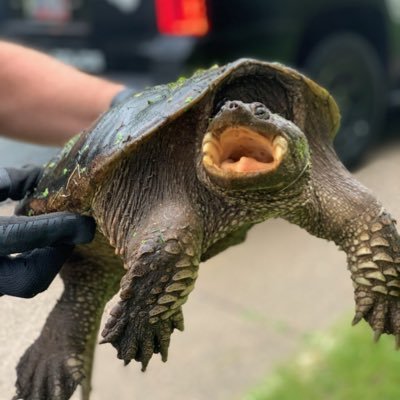 Dustin Edberg - Twitter Profile Picture of Dustin Edberg (@DustinEdberg) on Twitter