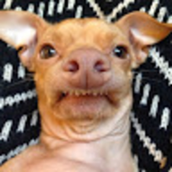 Denise Eibesh - Poshmark Profile Picture of Denise Eibesh (@denise_eibesh) on Poshmark