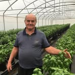 Profile Picture of Sam Pagano (@sam.pagano.98) on Facebook