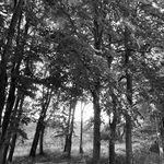 Profile Picture of richard (@razer.rebel) on Instagram