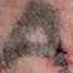 Profile Picture of William Fisher (@angela's pup) on Flickr