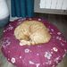 Profile Picture of San-Michaelis (@fredgartiser) on Pinterest