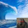 Profile Picture of Michael Shimp (@25shimpm) on Pinterest