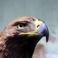 Profile Picture of Alexander Beard (@alexander-beard-2) on Quora
