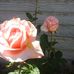 Profile Picture of Joan Block (@Joan-Block) on Facebook