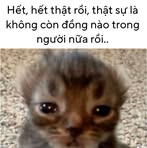 Profile Picture of Tony Hello (@tony.hello.868278) on Facebook