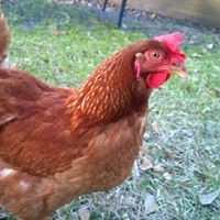 Profile Picture of Bart Sutton (@bart-sutton-1) on Quora