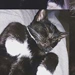 Profile Picture of Cleo Turner!!! (@_cleoturner_) on Instagram