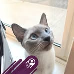 Profile Picture of Alter Yno (@ons.art.73) on Facebook