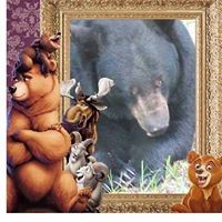 Profile Picture of Pamela Higgins (@pamela-higgins-5) on Quora
