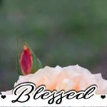 Profile Picture of Heather Hendricks (@heather.hendricks.56) on Instagram