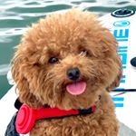 Profile Picture of Oliver (@oliverisonline) on Instagram