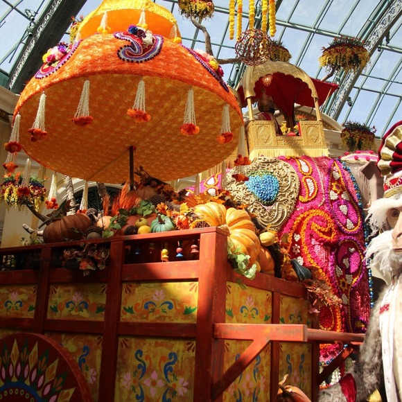 Profile Picture of Jamie Tilden (@jbrocket1) on Poshmark