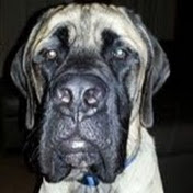 Jason Harver - Youtube Profile Picture of Jason Harver (@harver12345) on Youtube