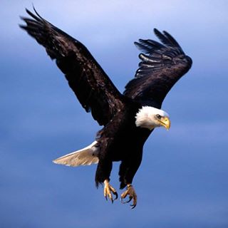 Profile Picture of Barbie Fields (@Barbie-Fields) on Facebook