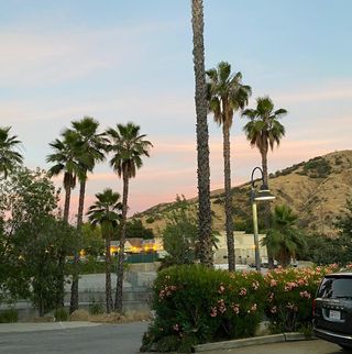 Profile Picture of Sean Pi (@sean.pi.56) on Facebook