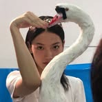 Profile Picture of Sijia Li (@Sijia-Li) on Facebook