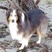 Profile Picture of Jean Fielder (@fielder1166) on Pinterest