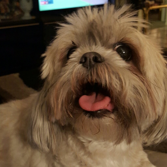 Profile Picture of Robin Parker (@commanderrice) on Poshmark