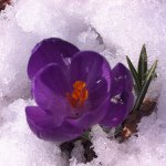 Profile Picture of Shelley Grisham (@shelley.grisham) on Instagram