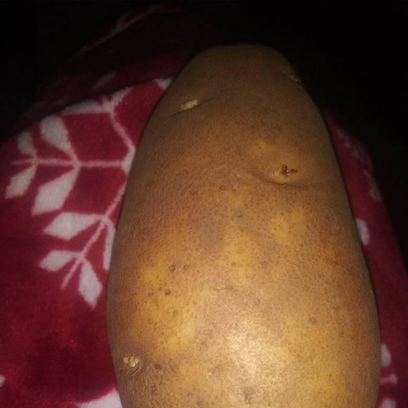 Profile Picture of Scott Turpin (@scottturpin) on Poshmark