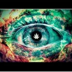 Profile Picture of Christopher Heine (@Christopher-Heine) on Facebook