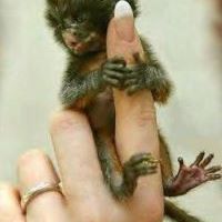 Profile Picture of Nancey Rexroad (@nancey.rexroad) on Facebook