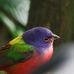 Profile Picture of Mark Kramer (@mark.kramer.7731) on Facebook