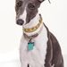Profile Picture of Elaine Harries (@elaineha) on Pinterest