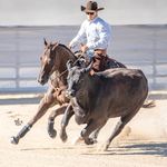 Profile Picture of Cody Hanson (@codyhanson.hph) on Instagram