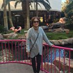 Profile Picture of Chung Jung (@rowenhalmuni) on Instagram