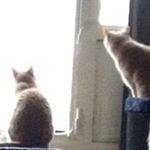 Profile Picture of Max Gower (@maxgower1963) on Instagram